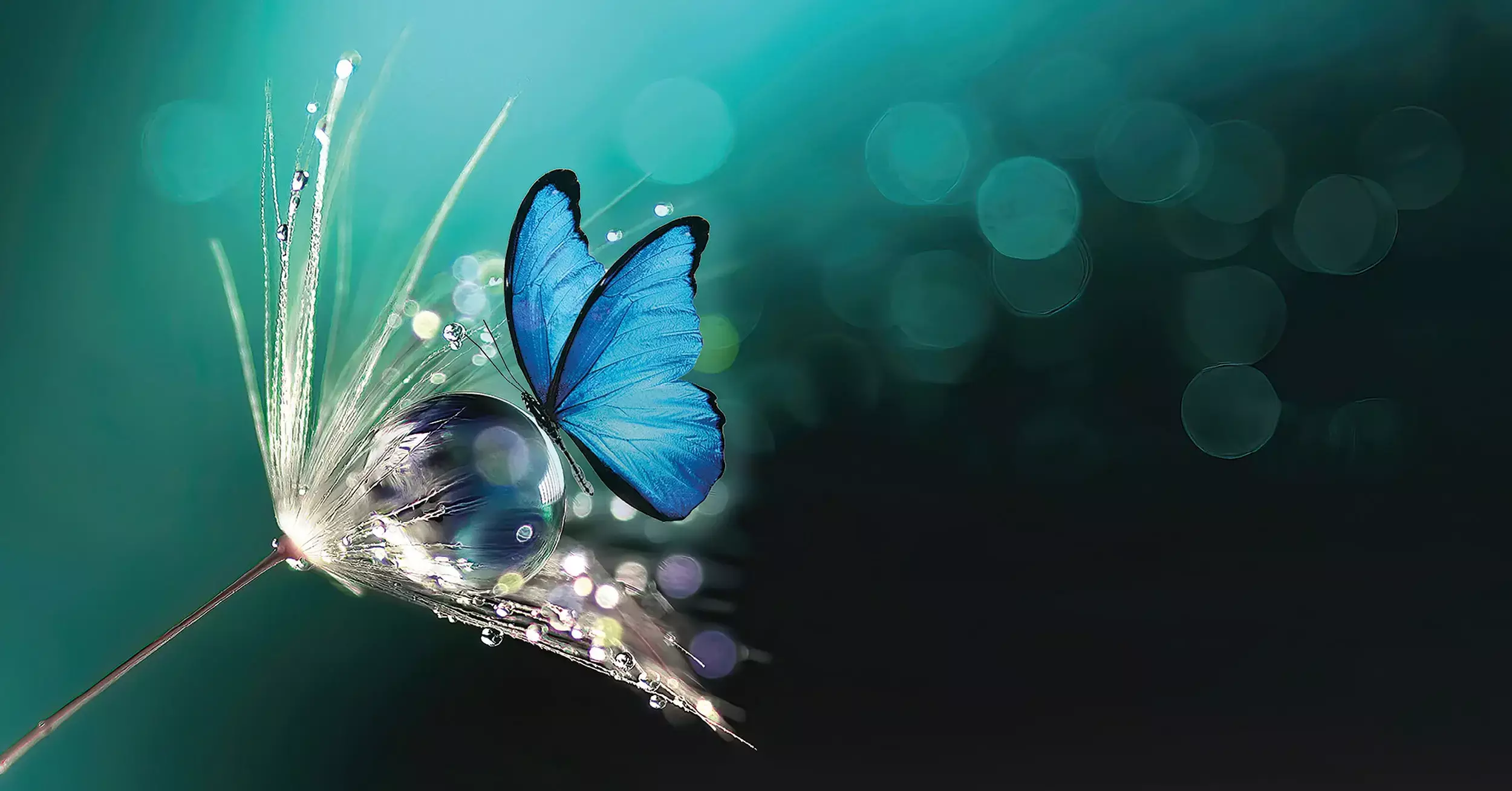 Pour tout besoin,